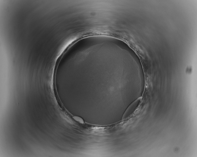 X0000102540052200808151652