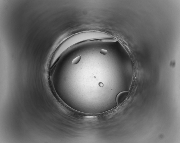 X0000102540053200808151652