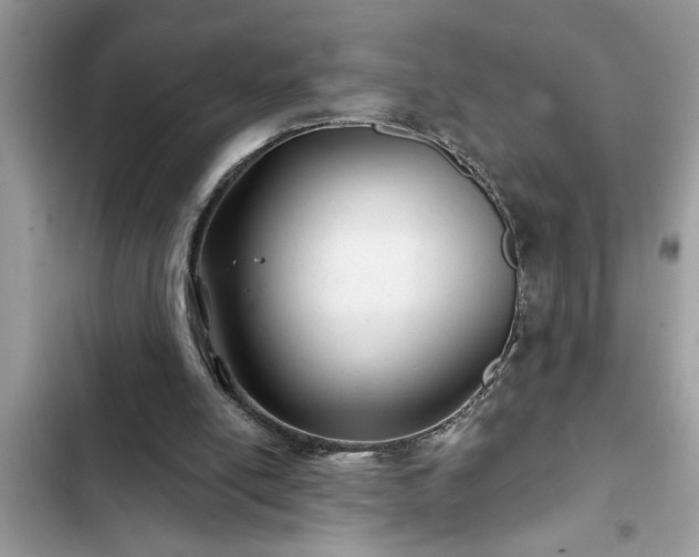 X0000102540054200808151652