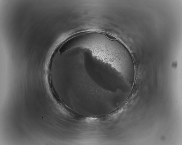 X0000102540055200808151652