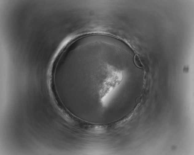 X0000102540056200808151652