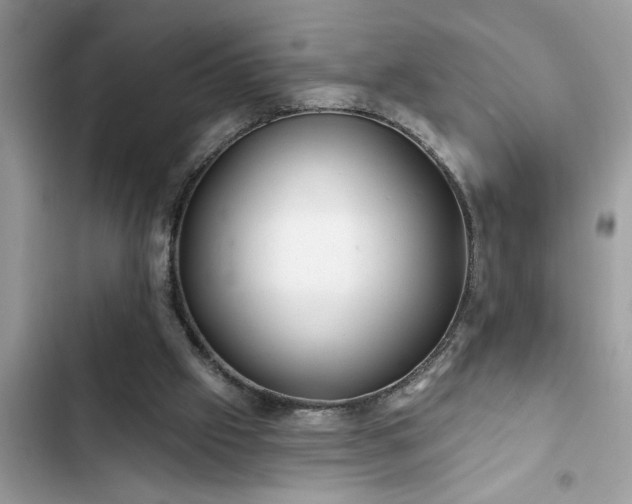 X0000102540057200808151652