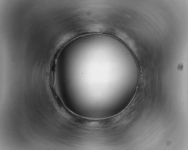 X0000102540058200808151652