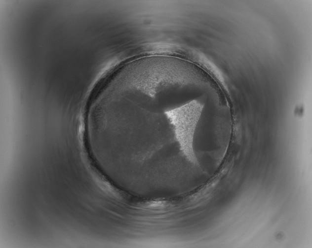 X0000102540059200808151652