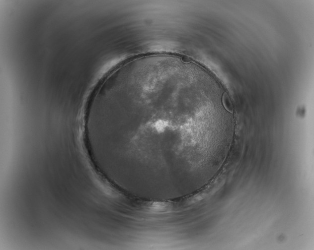 X0000102540060200808151652