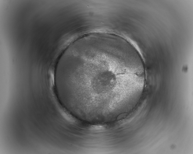 X0000102540061200808151652