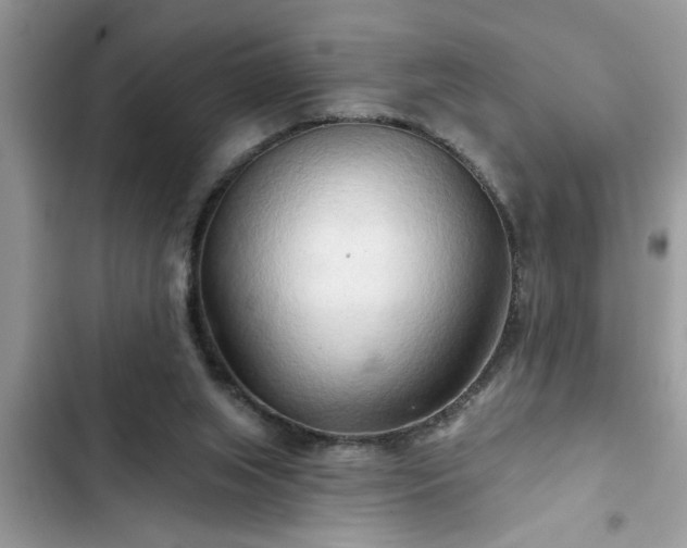 X0000102540063200808151652