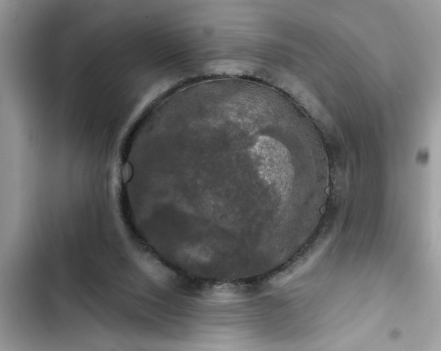 X0000102540064200808151652
