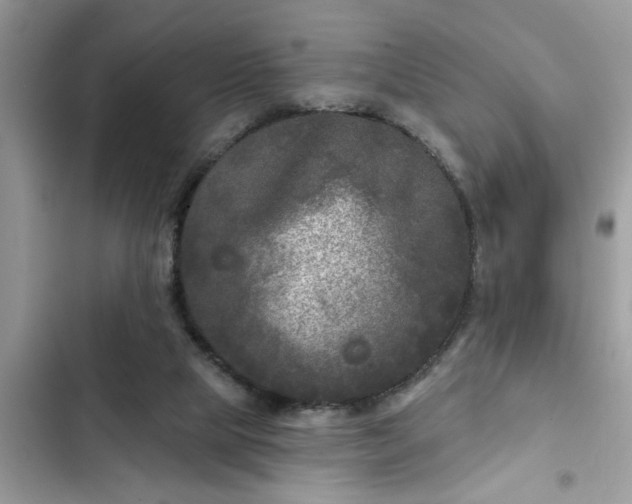 X0000102540065200808151652