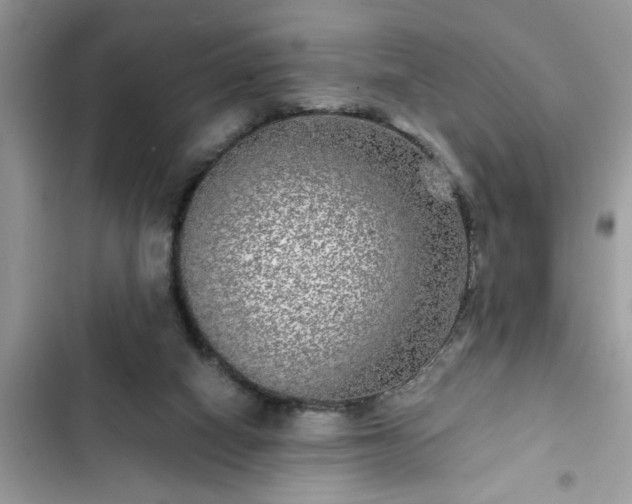 X0000102540066200808151652