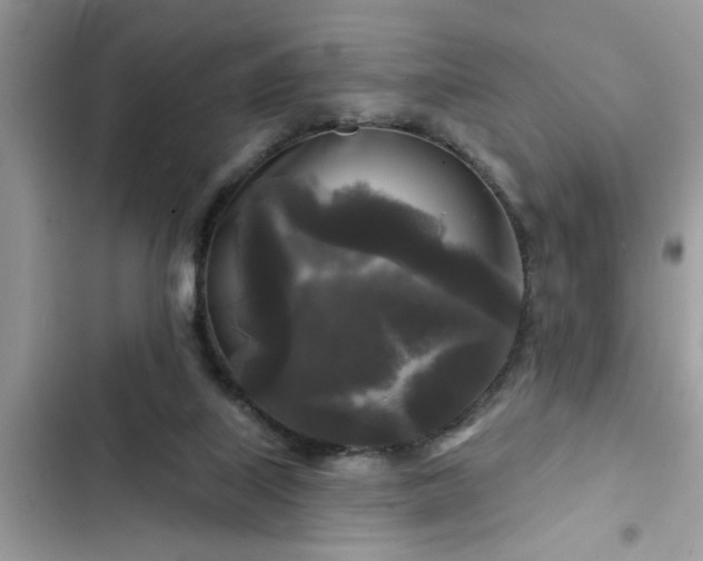 X0000102540067200808151652