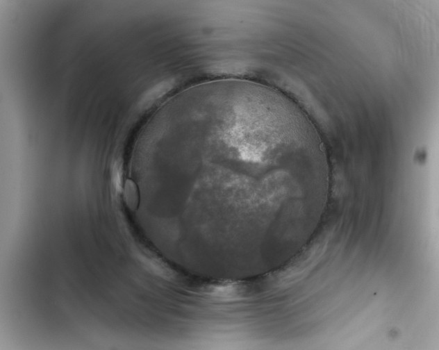 X0000102540068200808151652