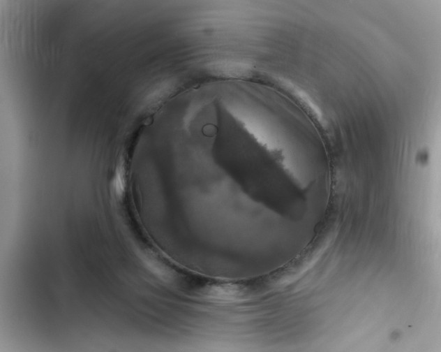 X0000102540069200808151652