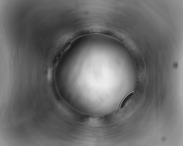 X0000102540070200808151652