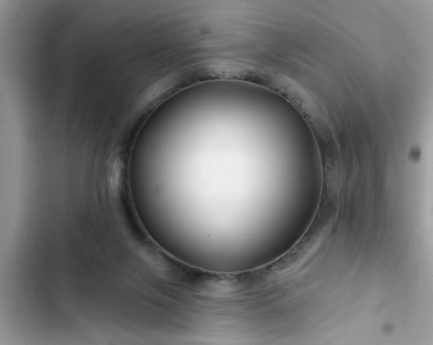 X0000102540071200808151652