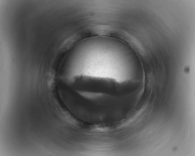 X0000102540073200808151652