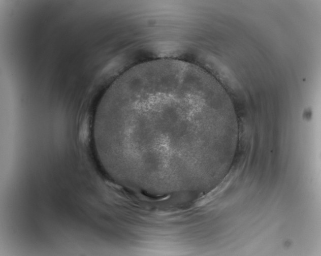 X0000102540074200808151652