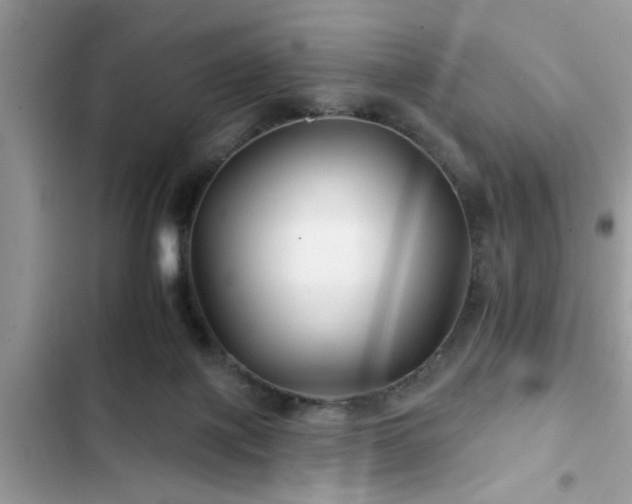 X0000102540075200808151652