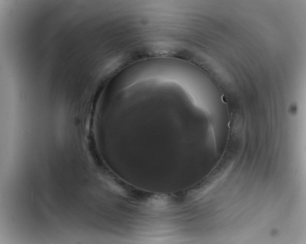 X0000102540076200808151652