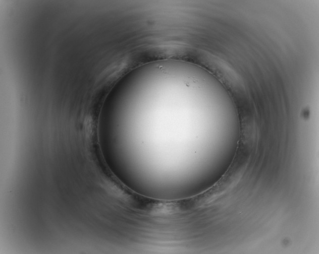 X0000102540077200808151652