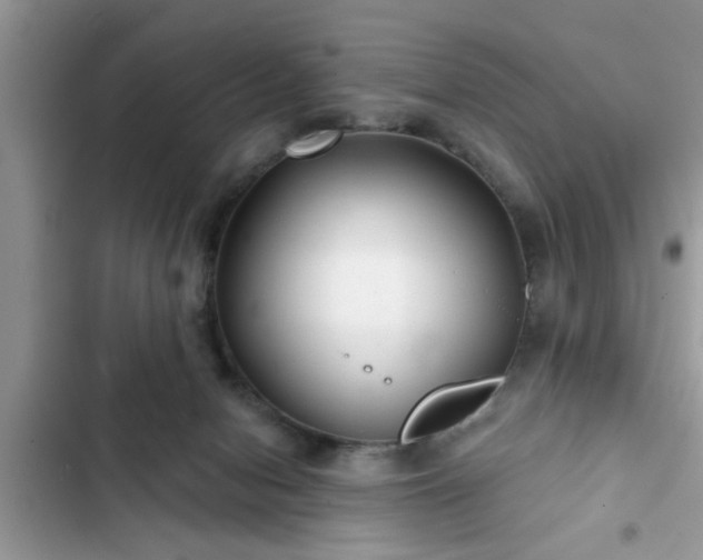 X0000102540078200808151652