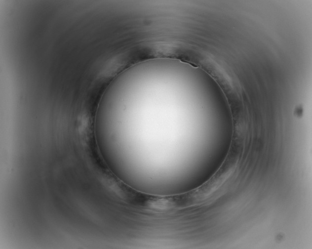 X0000102540079200808151652