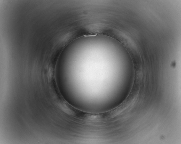 X0000102540081200808151652