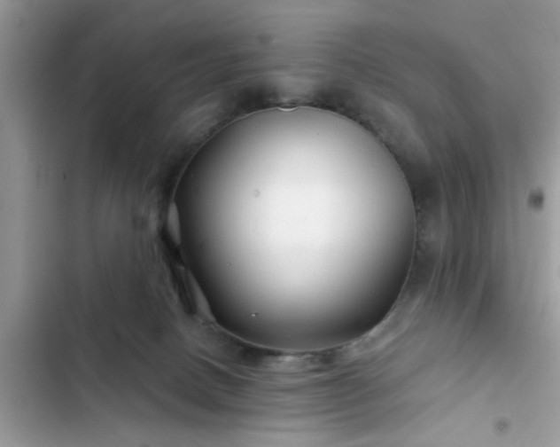 X0000102540082200808151652