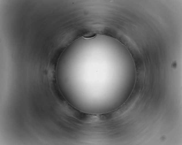 X0000102540083200808151652