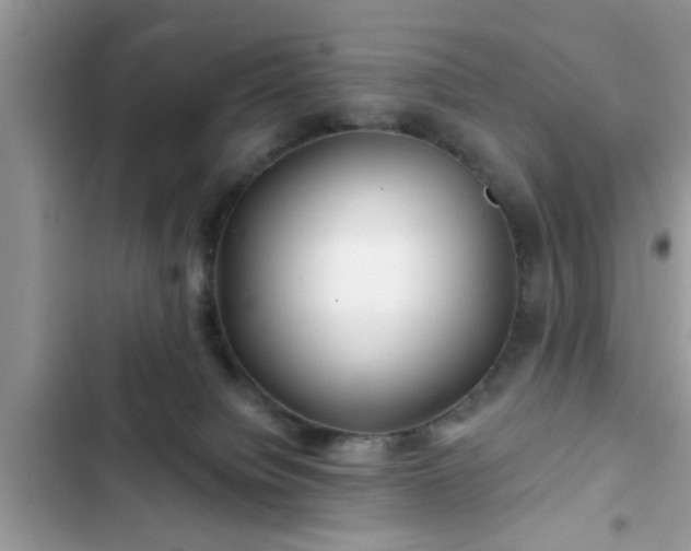 X0000102540084200808151652