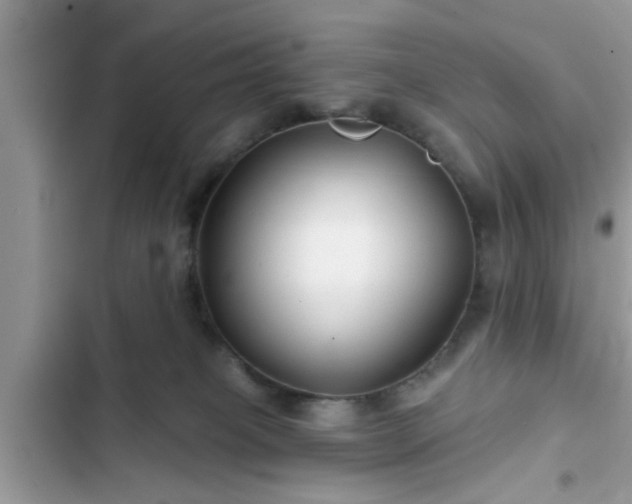 X0000102540085200808151652