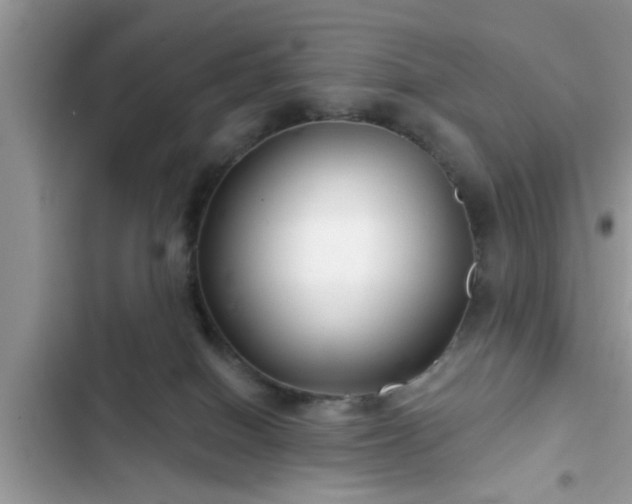 X0000102540086200808151652