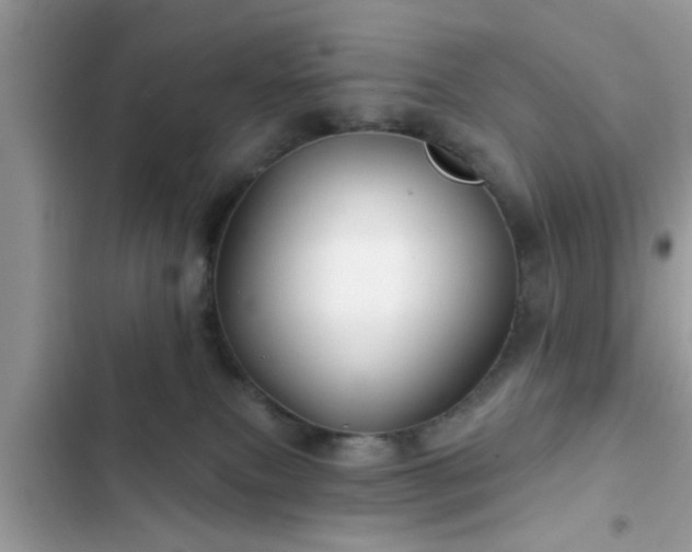 X0000102540087200808151652