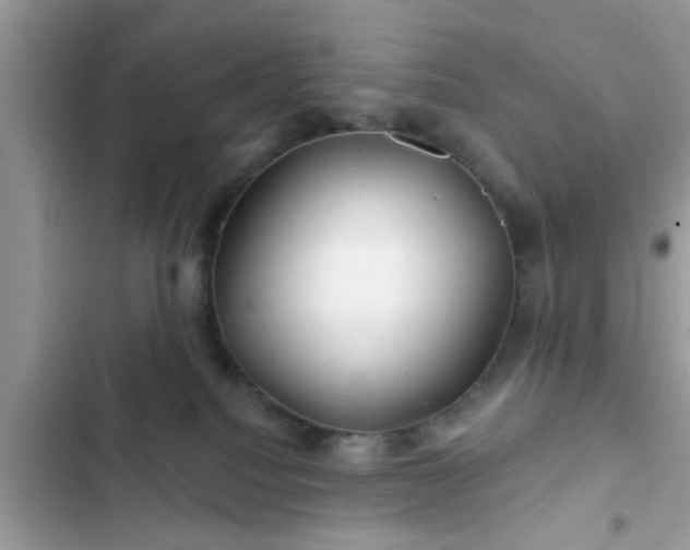 X0000102540088200808151652