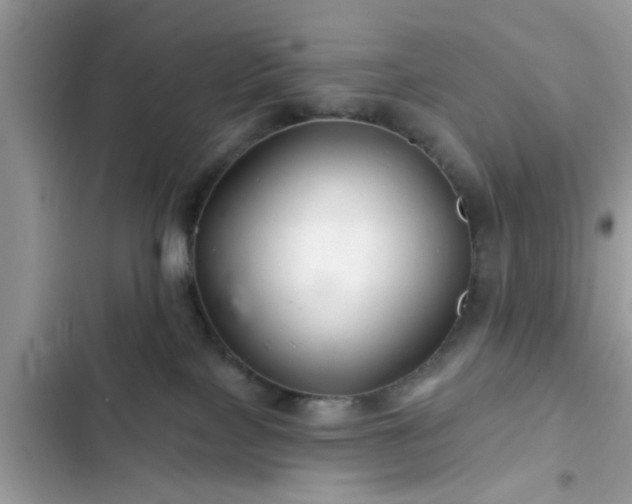 X0000102540089200808151652