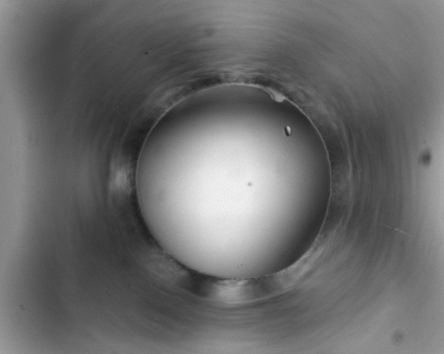 X0000102540090200808151652