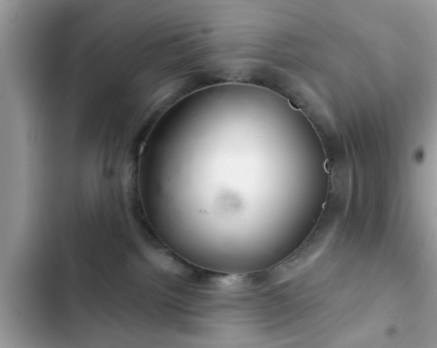 X0000102540092200808151652