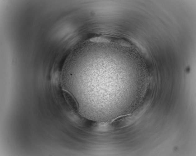 X0000102540093200808151652
