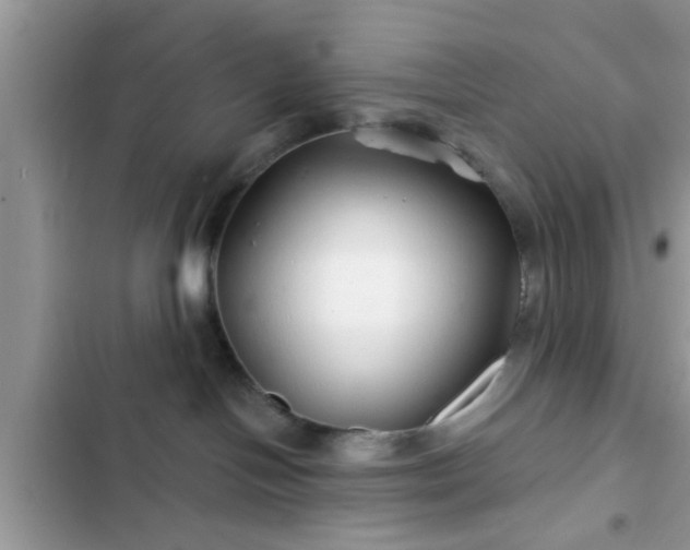 X0000102540094200808151652