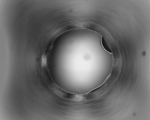 X0000102540095200808151652