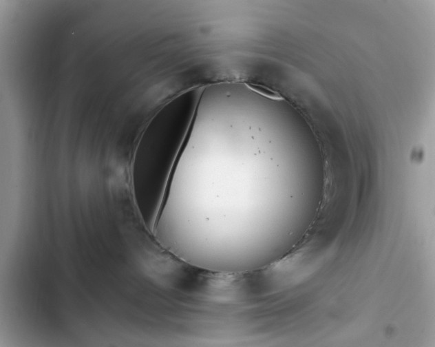 X0000102540096200808151652