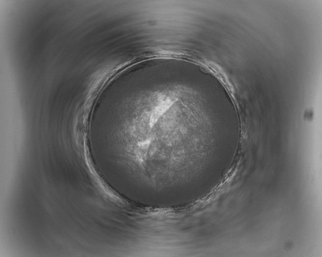 X0000102540097200808151652