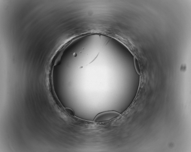 X0000102540098200808151652