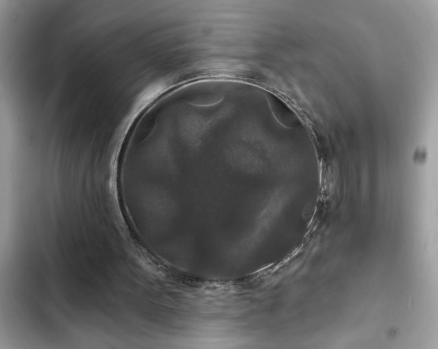 X0000102540099200808151652