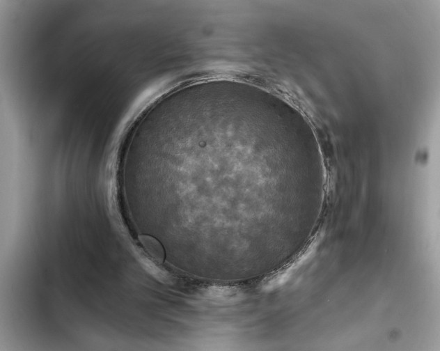 X0000102540101200808151652