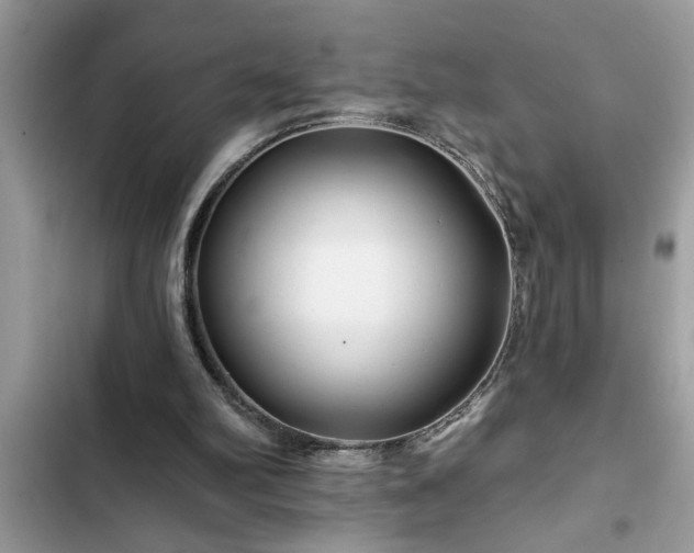 X0000102540102200808151652