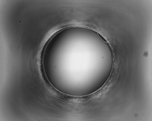 X0000102540103200808151652