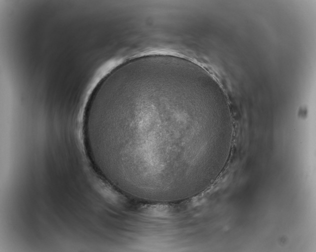 X0000102540104200808151652
