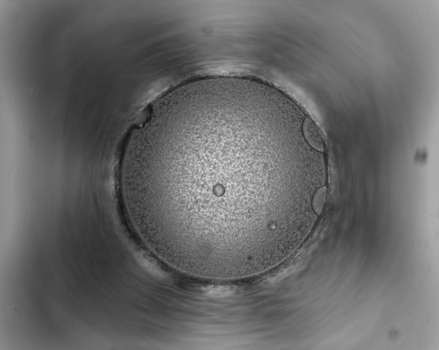 X0000102540105200808151652