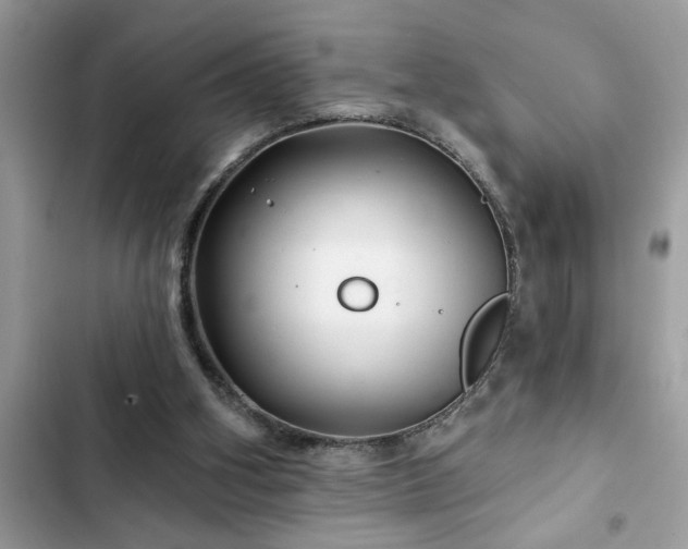 X0000102540106200808151652